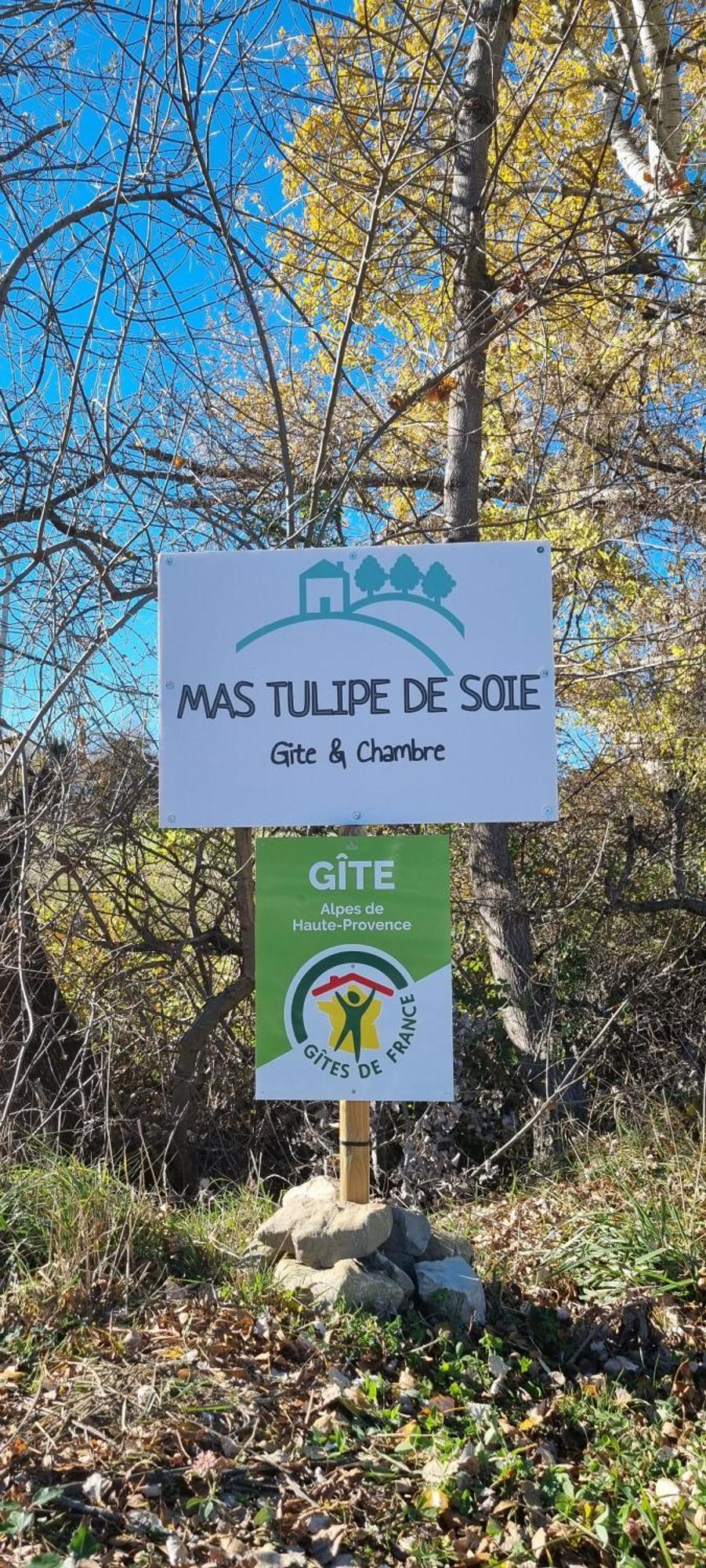 Mas Tulipe De Soie Bed & Breakfast Bevons Eksteriør bilde