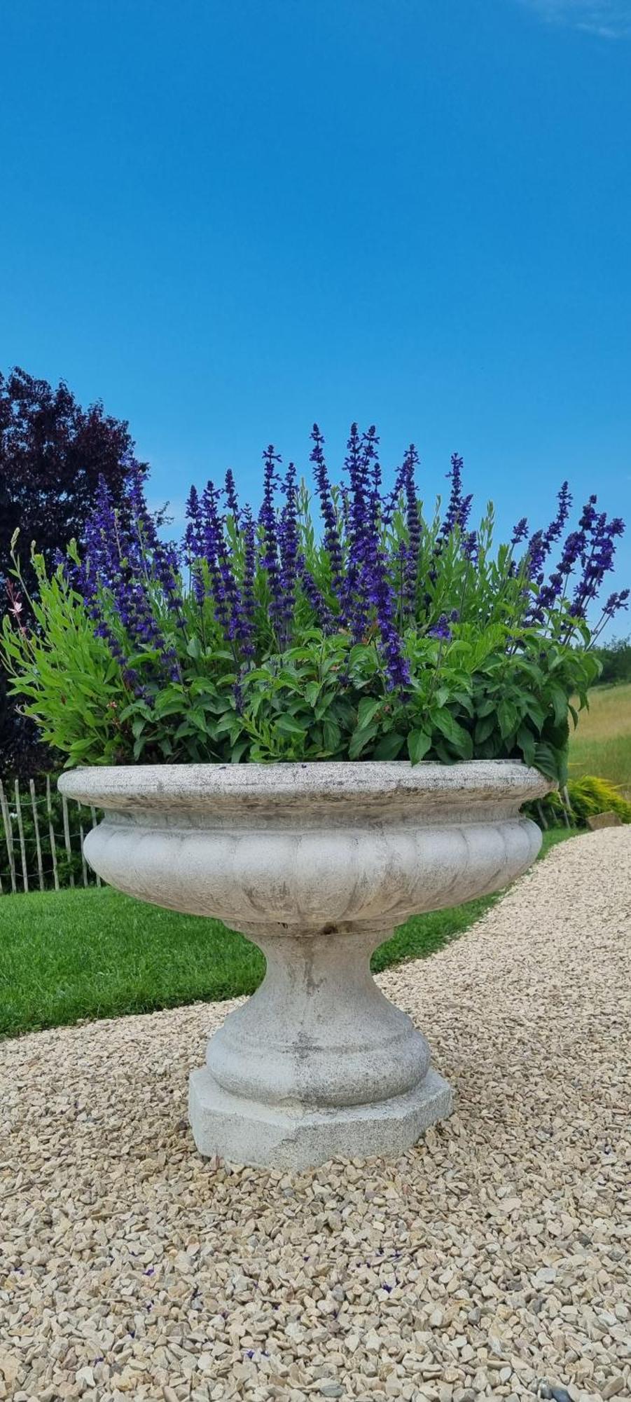 Mas Tulipe De Soie Bed & Breakfast Bevons Eksteriør bilde